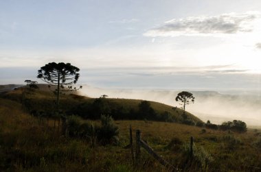 Sahada gün doğumu. Bom Jesus, Brezilya. 