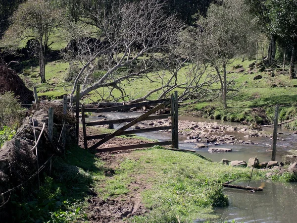 Beautiful View River Park — Stock Photo, Image