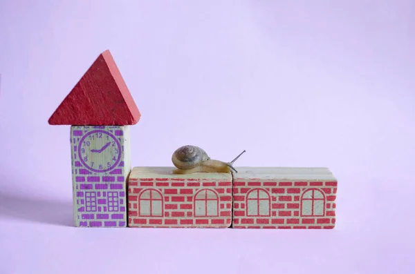 Tahta blokları ve salyangozu olan bir oyuncak ev.