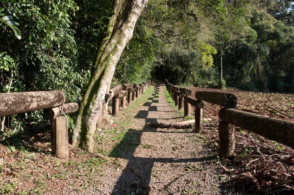 Weg Park Brasilien — Stockfoto