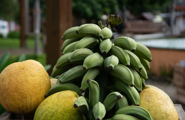 Oranges Bananas Market — ストック写真