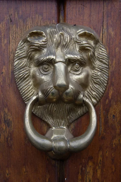 Beautiful Lion Head Door Knocker — Stock Photo, Image