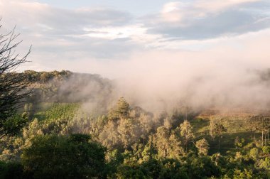 Bulutlu ve sisli güzel bir manzara