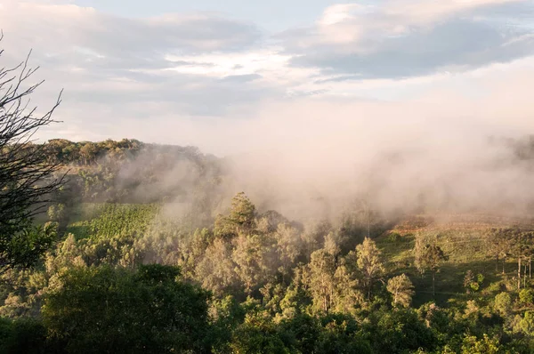 Bulutlu ve sisli güzel bir manzara