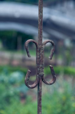 rusty anchor chain in the garden