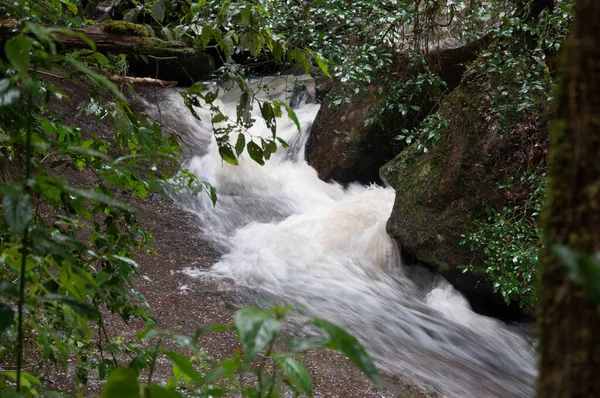 Waterfall Green Moss Water — ストック写真