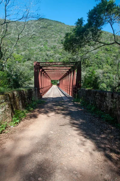 Vista Puente Korff Con Bosque Fondo — Foto de Stock