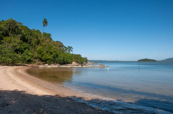 Красивый Пляж Берегом Озера Бразилии — стоковое фото