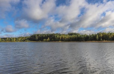 Göl, çimen, orman, gündüz vakti mavi gökyüzü ile yaz manzarası