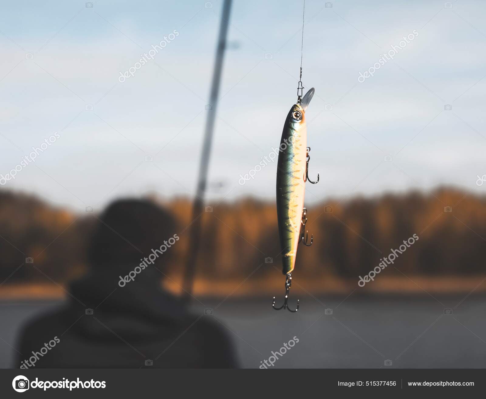 Swim bait or wobbler hanging on fishing rod for predator fish and pike  Stock Photo by ©val.suprunovich 515377456