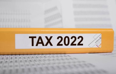 Vergi 2022, vergi sistemi. Belgelerdeki sarı klasördeki sözcük