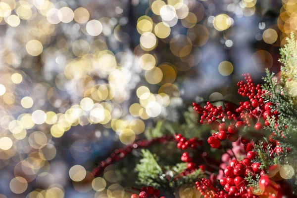Christmas background with blurred bokeh of Xmas glowing lights and fir tree branch with red berries. Copy space for text — Stock Photo, Image