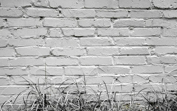 Parede de tijolo de estuque branco com borda de grama pintada. Antecedentes do texto — Fotografia de Stock