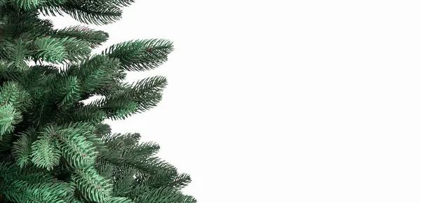 Las ramas de abeto de Navidad se cierran en la pancarta con espacio para copiar. Fondo minimalista monocromo de Navidad con firtree aislado — Foto de Stock