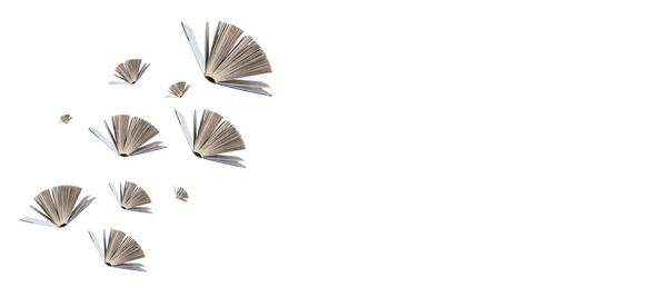 Open books fly. Fiction literature banner with copy space — 图库照片