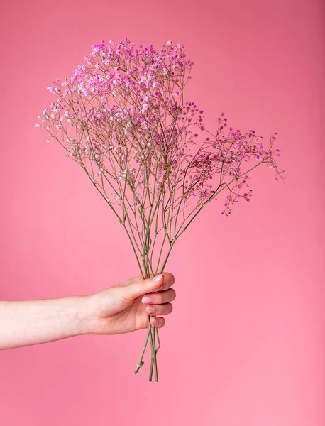 Hand hält Frühlingsblumen, romantisches Geschenk auf rosa Hintergrund. Postkarte — Stockfoto