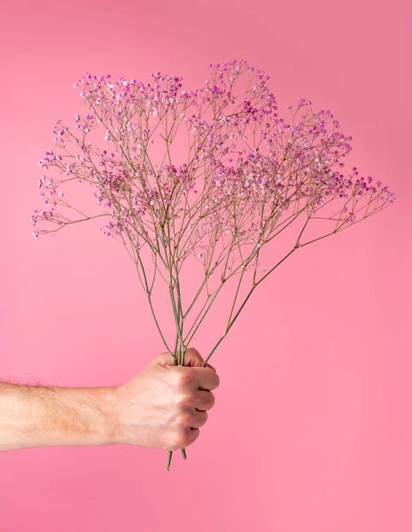 Mão segurando flores secas buquê no fundo rosa. Flores para presente. Conceito de dia dos namorados — Fotografia de Stock