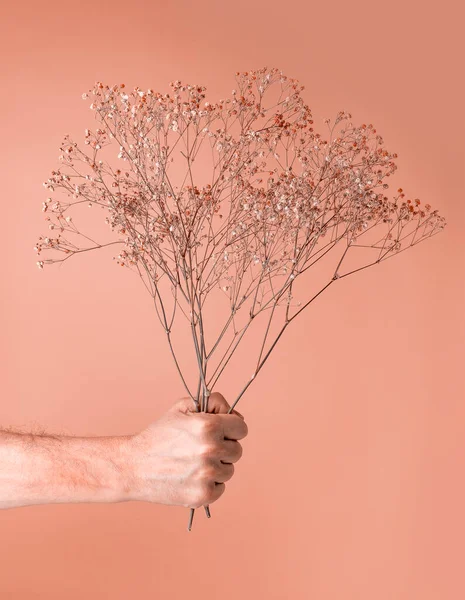 Homem mão segurando flores secas buquê no fundo pastel. Um homem a dar flores doces. Relacionamento, amor, Dia dos Namorados conceito — Fotografia de Stock