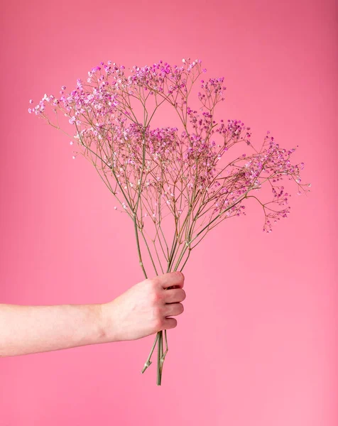 Hand hält getrockneten Blumenstrauß auf rosa Hintergrund. Ein Bündel schöner Blumen zum Valentinstag, Geburtstag, Muttertag — Stockfoto