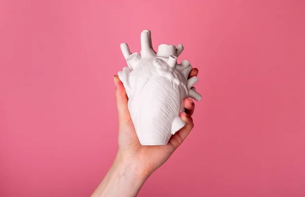 Hands holding white heart organ model. Health care or organ donation concept. Funny Valentines day