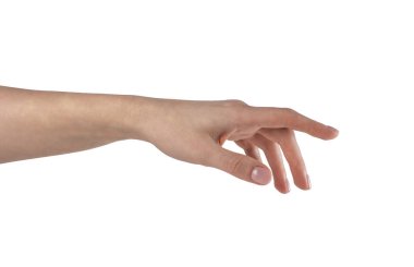Kadın eli bir şeyi işaret ediyor, dokunuyor ya da işaret ediyor. El hareketi beyaz arkaplanda izole edildi
