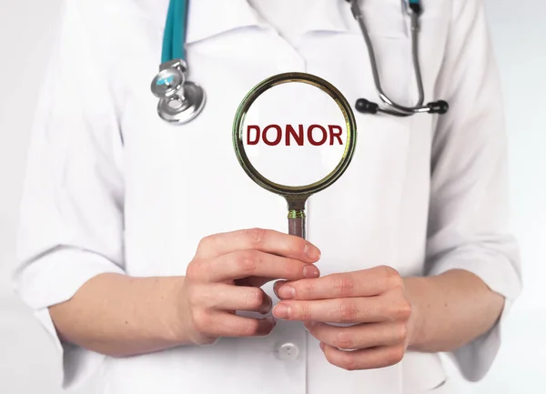 Palabra del donante a través de lupa. Concepto de donación de sangre y órganos —  Fotos de Stock