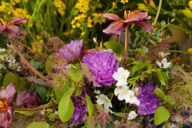 Çiçekçilik, çiçekçilik, yeşillik.