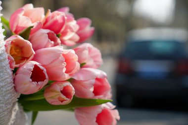 Çiçekçilik, çiçekçilik, yeşillik.