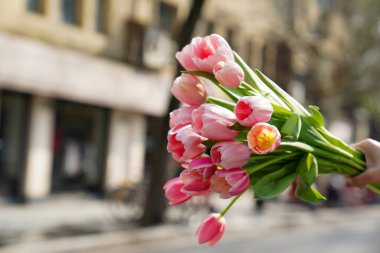 Çiçekçilik, çiçekçilik, yeşillik.