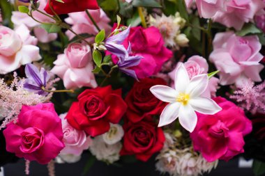 Çiçekçilik, çiçekçilik, yeşillik.