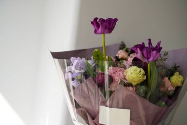 Çiçek ve yapraklardan oluşan yaratıcı bir düzen. Doğa konsepti. Çiçek tebrik kartı. Renkli bahar çiçeği arkaplanı, metin için alan. Doğa Moda Dekoratif Tasarımı.