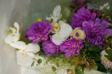 Çiçek ve yapraklardan oluşan yaratıcı bir düzen. Doğa konsepti. Çiçek tebrik kartı. Renkli bahar çiçeği arkaplanı, metin için alan. Doğa Moda Dekoratif Tasarımı.