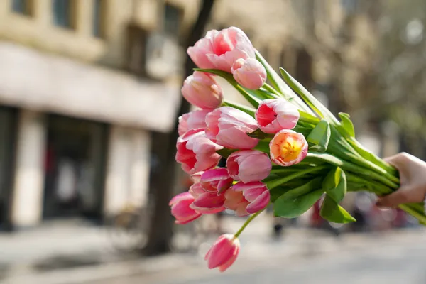 Çiçekçilik, çiçekçilik, yeşillik.