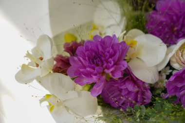 Çiçek ve yapraklardan oluşan yaratıcı bir düzen. Doğa konsepti. Çiçek tebrik kartı. Renkli bahar çiçeği arkaplanı, metin için alan. Doğa Moda Dekoratif Tasarımı.