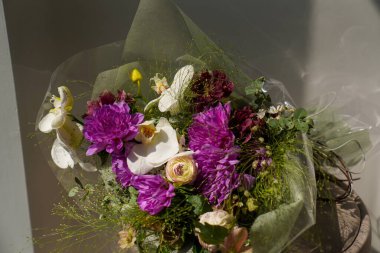 Çiçekçilik, çiçekçilik, yeşillik.