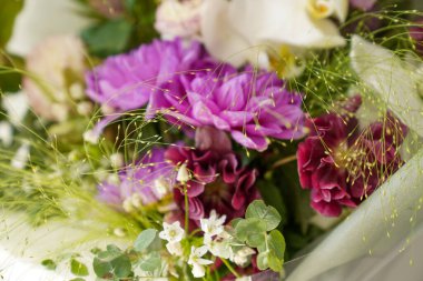 Çiçekçilik, çiçekçilik, yeşillik.