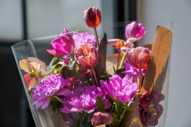 Çiçekçilik, çiçekçilik, yeşillik.