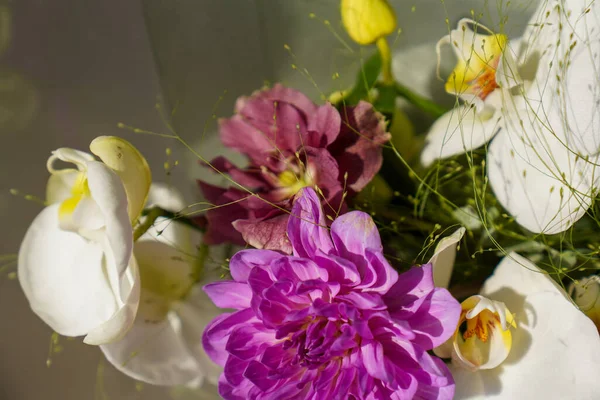 Blommor Dekorationer Blommor Grönska — Stockfoto