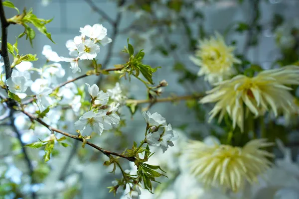 Квіткові Прикраси Квіткові Квіти Зелень — стокове фото