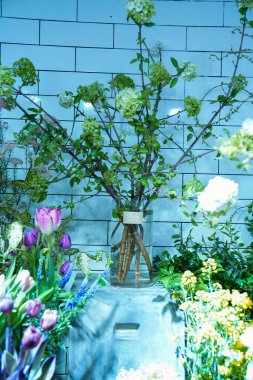 Çiçek ve yapraklardan oluşan yaratıcı bir düzen. Doğa konsepti. Çiçekli tebrik kartı. Metin alanı olan renkli bahar çiçekleri. Doğal trend dekoratif tasarımı.