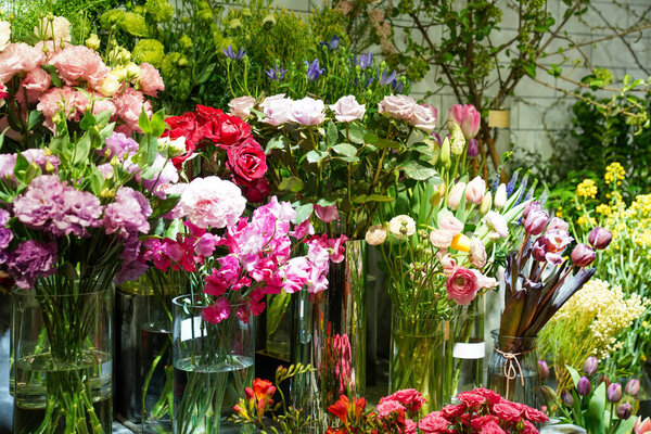 Творческая компоновка из цветов и листьев. Концепция природы. Цветочная открытка. Цветной весенний цветочный фон с текстовым пространством. Природный модный декоративный дизайн.