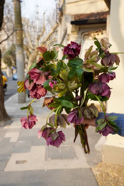 Kreativ Layout Bestående Blommor Och Blad Naturbegreppet Blommigt Gratulationskort Färgglada — Stockfoto