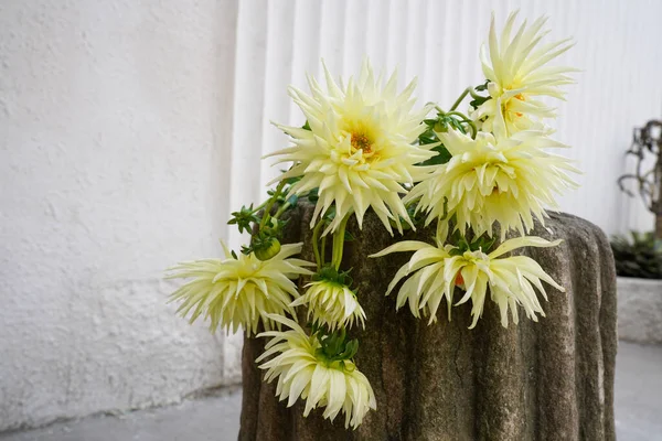 Kreatywny Układ Składający Się Kwiatów Liści Koncepcja Natury Kwiatowa Kartka — Zdjęcie stockowe