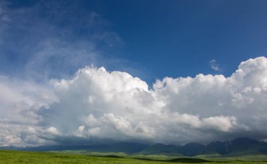 Çin, Xinjiang 'daki güzel Bayinbruck Otlağı