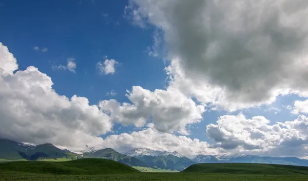 Den Vackra Bayinbruck Grassland Xinjiang Kina — Stockfoto