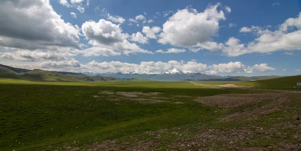 Gyönyörű Bayinbruck Grassland Xinjiang Ban Kínában — Stock Fotó