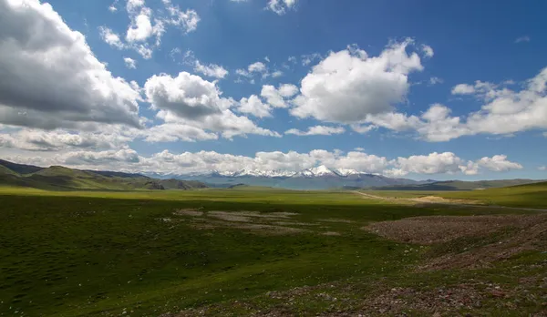 Gyönyörű Bayinbruck Grassland Xinjiang Ban Kínában — Stock Fotó