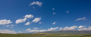 Çin, Xinjiang 'daki güzel Bayinbruck Otlağı