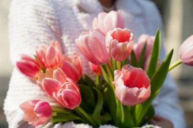 Çiçek ve yapraklardan oluşan yaratıcı bir düzen. Doğa konsepti. Çiçek tebrik kartı. Renkli bahar çiçeği arkaplanı, metin için alan. Doğa Moda Dekoratif Tasarımı.