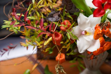 Çiçek ve yapraklardan oluşan yaratıcı bir düzen. Doğa konsepti. Çiçek tebrik kartı. Renkli bahar çiçeği arkaplanı, metin için alan. Doğa Moda Dekoratif Tasarımı.